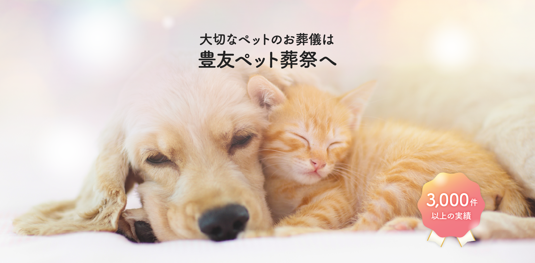 メインイメージ1