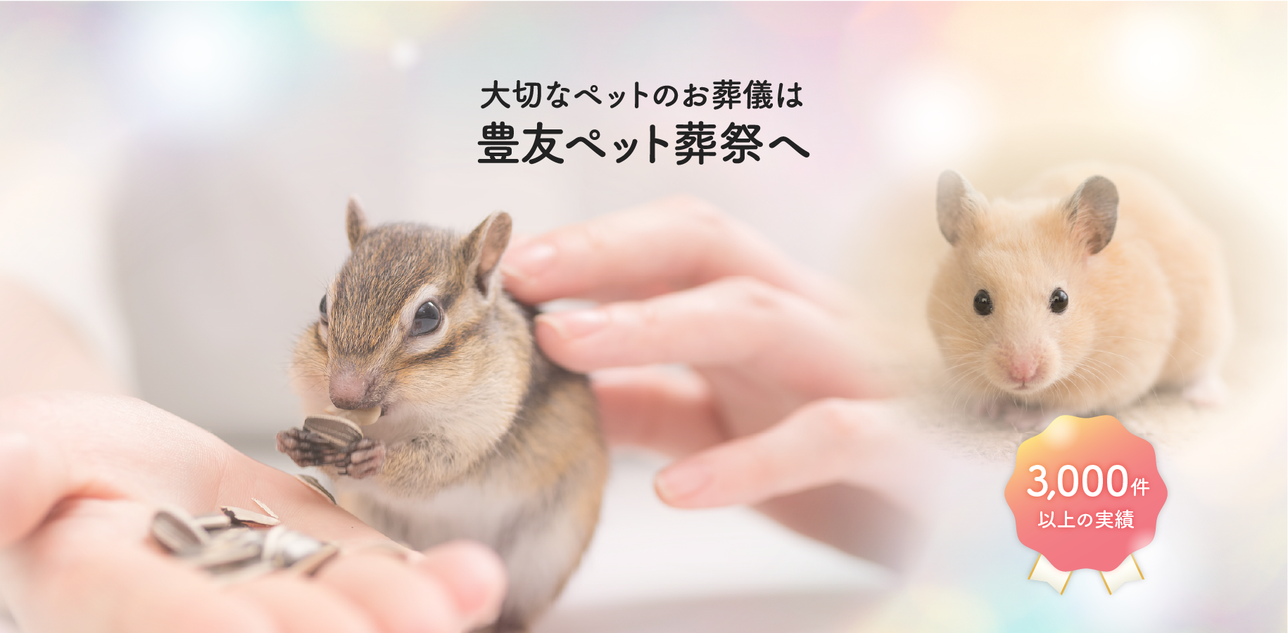 メインイメージ2