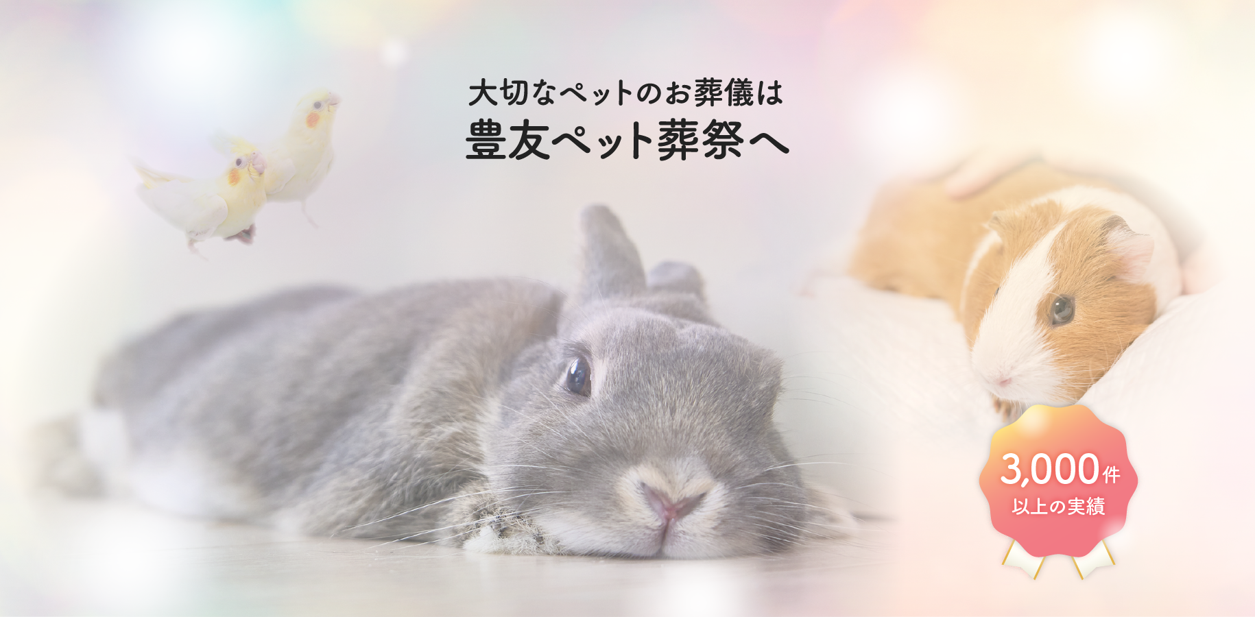 メインイメージ3