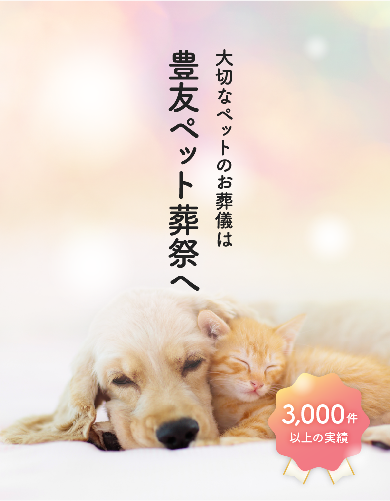 メインイメージ1