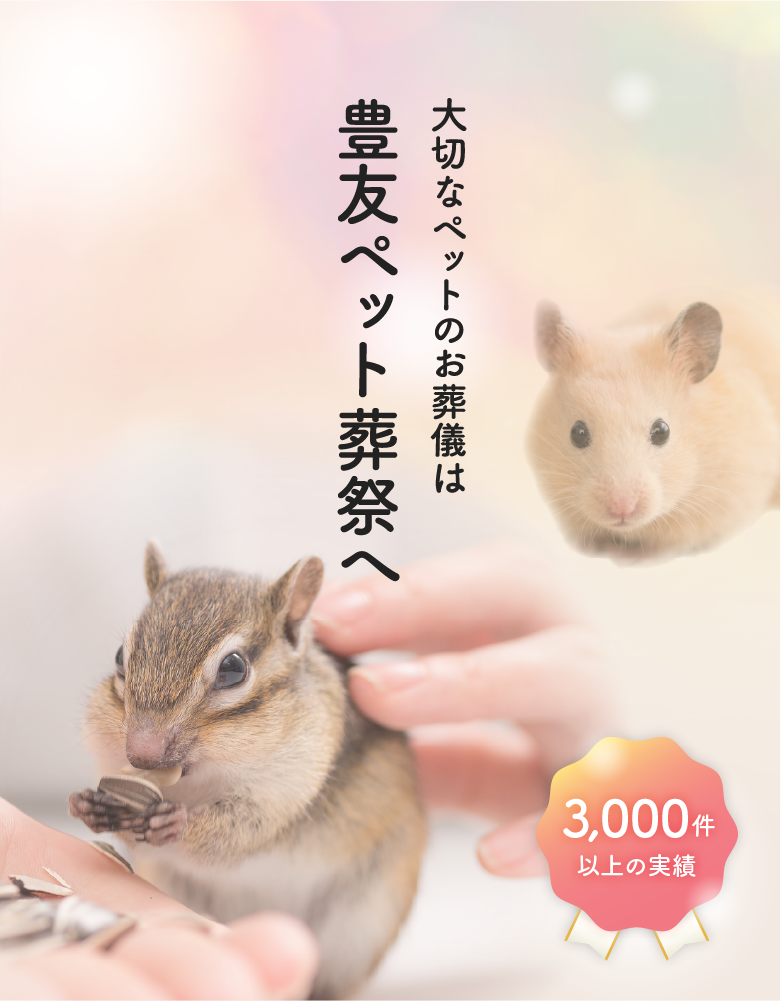 メインイメージ2
