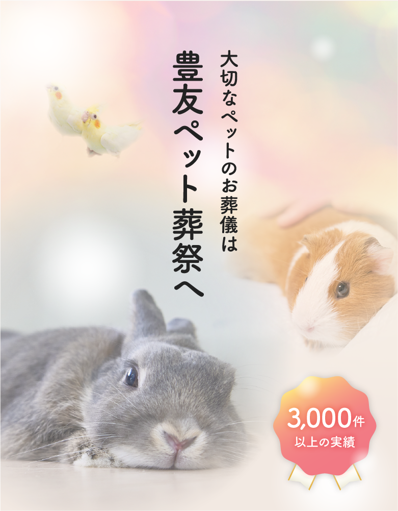 メインイメージ3